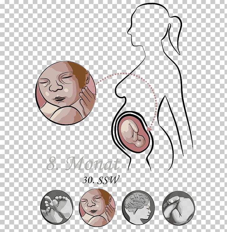 Month Pregnancy Week Academic Quarter Pre-labor PNG, Clipart, Area, Arm, Babycenter, Babys, Cheek Free PNG Download
