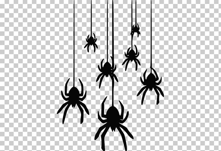 Spider Web PNG, Clipart, Black, Black And White, Black House Spider, Coloring Book, Drawing Free PNG Download