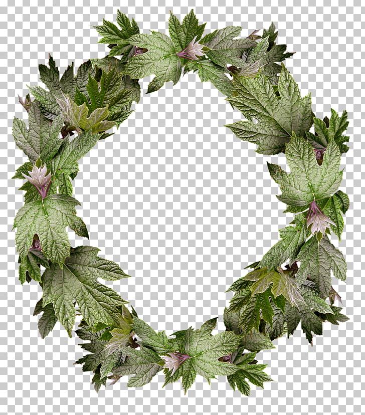 Wreath Frames Flower Floral Design PNG, Clipart, Decorative Arts, Floral Design, Floral Photo Frame, Flower, Leaf Free PNG Download