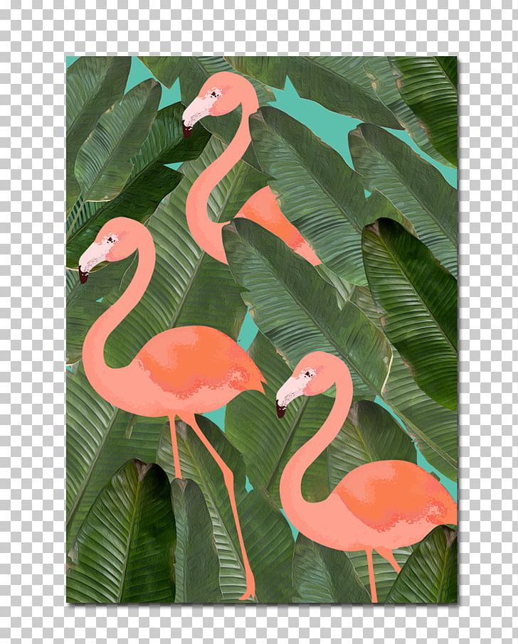 Flamingo Mary D. Bird PNG, Clipart, Advertising, Animal, Animals, Art, Beak Free PNG Download