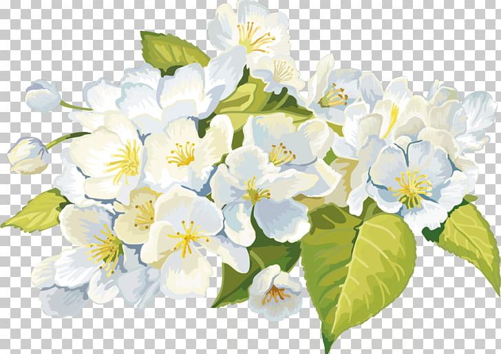 Flower Animation Garden Roses PNG, Clipart, Animation, Blog, Blossom, Branch, Cornales Free PNG Download