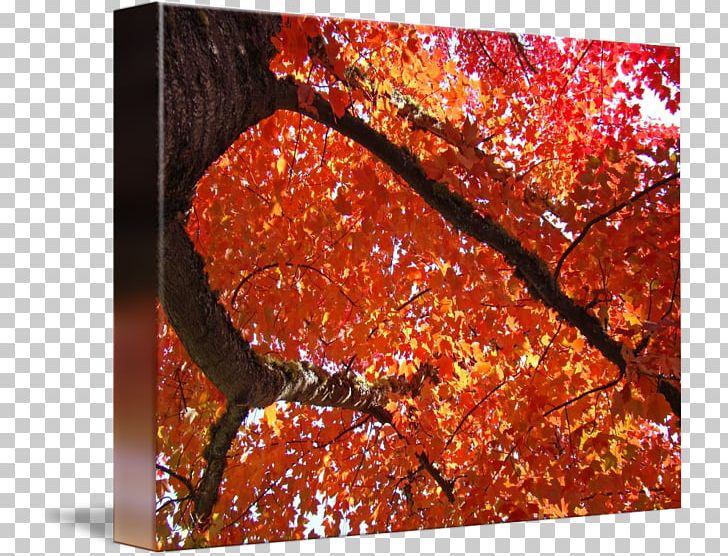 Jerky Gallery Wrap Art Troutman Printmaking PNG, Clipart, Animal Source Foods, Art, Autumn, Autumn Landspace, Canvas Free PNG Download