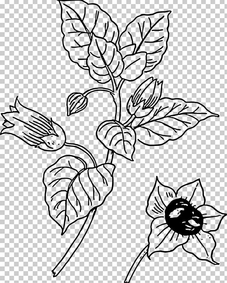 Belladonna Botany PNG, Clipart, Artwork, Black And White Flower Outline, Branch, Desktop Wallpaper, Fictional Character Free PNG Download