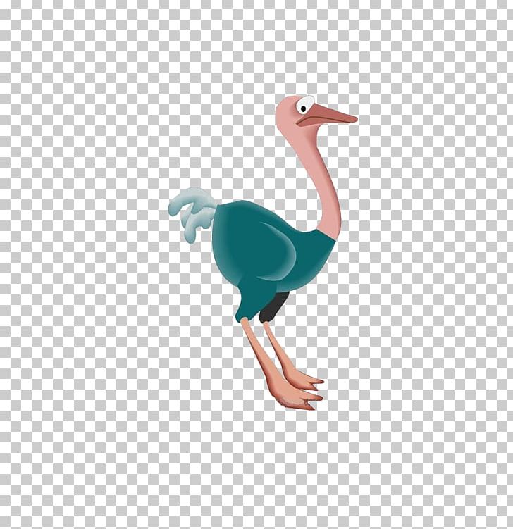 Letter Common Ostrich Bird Alphabet Word PNG, Clipart, Alphabetical Order, Animal, Animals, Animation, Balloon Cartoon Free PNG Download