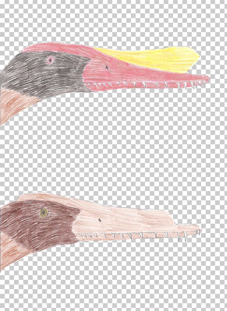 Saurornithoides Hamipterus Bird Dinosaur Pterosaurs PNG, Clipart, Animals, Art, Beak, Bird, Deviantart Free PNG Download