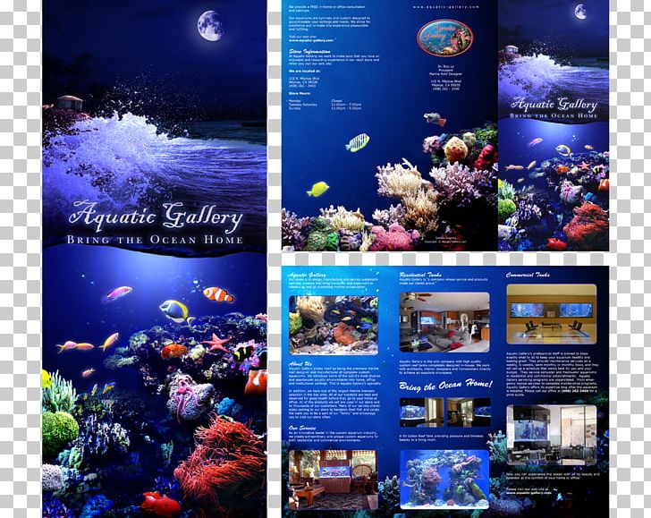 Aquarium Lighting Brochure Advertising PNG, Clipart, Advertising, Aquarium, Aquarium Lighting, Art, Brochure Free PNG Download