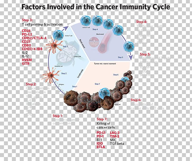 Cancer Immunology Immune System Immune Checkpoint Immune Cycle PNG, Clipart, Affymetrix, Bead, Cancer, Cancer Immunology, Cancer Immunotherapy Free PNG Download