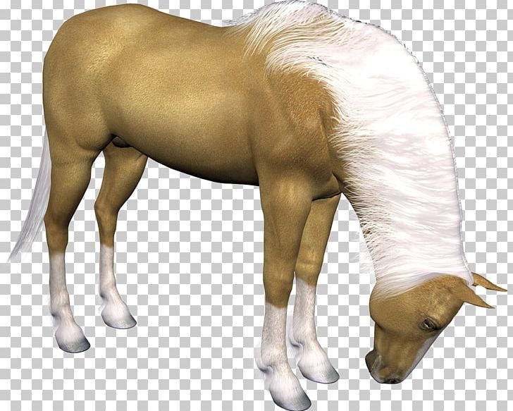 Horse PNG, Clipart, Animals, Blog, Colt, Computer Icons, Encapsulated Postscript Free PNG Download