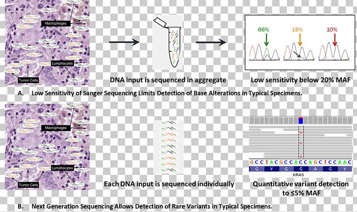 Massive Parallel Sequencing DNA Sequencing Cancer Genome Sequencing Sanger Sequencing PNG, Clipart, Area, Breast Cancer, Cancer, Coverage, Genome Free PNG Download