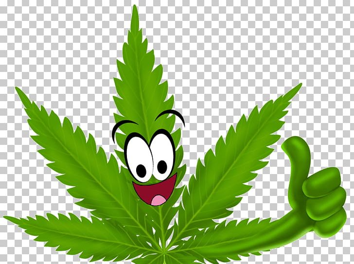 Medical Cannabis Hashish Hemp PNG, Clipart,  Free PNG Download