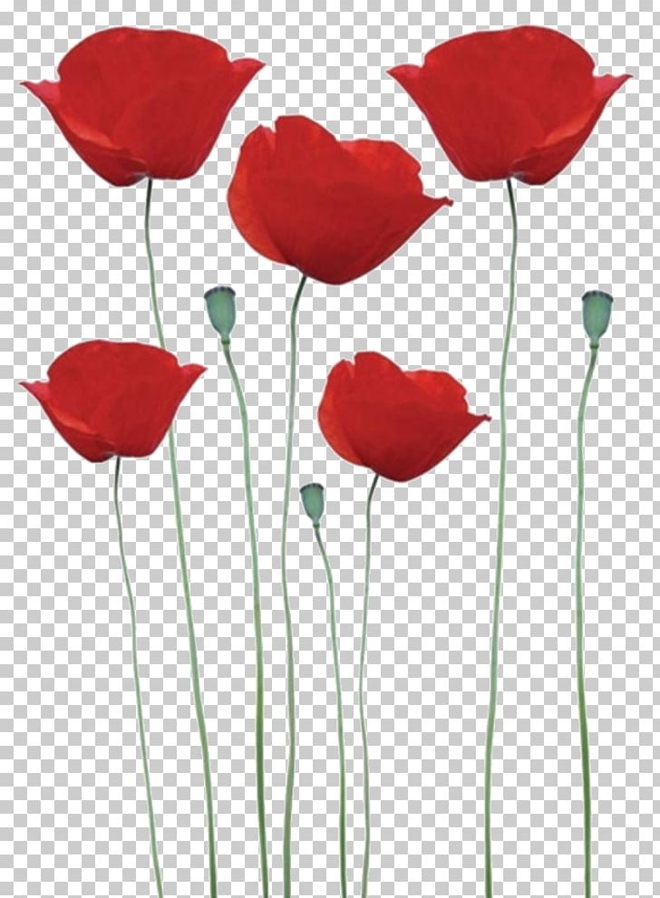 Common Poppy Remembrance Poppy Sticker Flower PNG, Clipart, Artificial Flower, Common Poppy, Coquelicot, Cut Flowers, Floristry Free PNG Download