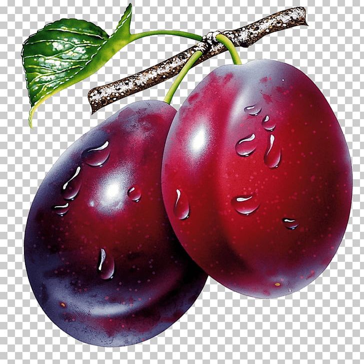Plum PNG, Clipart, Apple, Blueberries, Cherry, Com, Computer Graphics Free PNG Download
