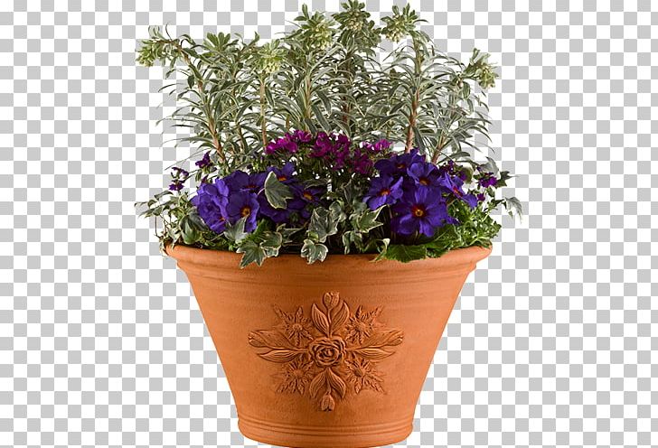 Chelsea Flower Show Flowerpot Houseplant PNG, Clipart, Annual Plant, Bellflower Family, Chelsea Flower Show, Container Garden, Cut Flowers Free PNG Download