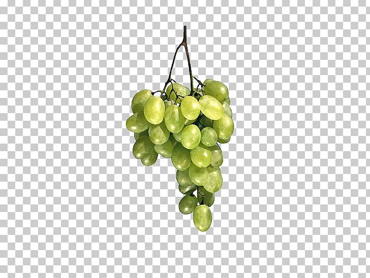 Common Grape Vine Fruit PNG, Clipart, 3d Computer Graphics, Bunch, Common Grape Vine, Food, Free Free PNG Download