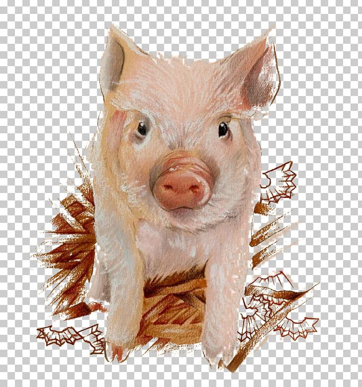 Domestic Pig Illustration PNG, Clipart, Animals, Calendar, Domestic Pig, Download, Fauna Free PNG Download