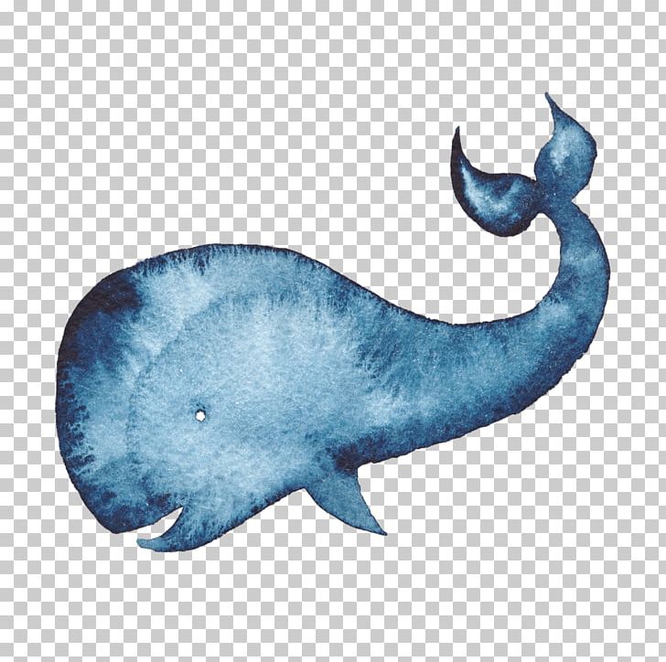 Humpback Whale Watercolor Painting Blue Whale PNG, Clipart, Animals, Art, Cetacea, Cetacean Surfacing Behaviour, Dolphin Free PNG Download