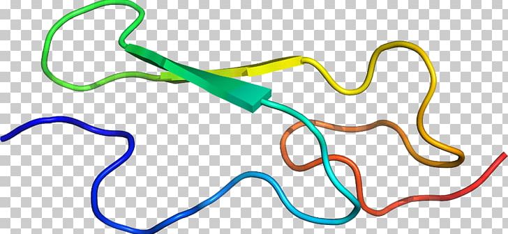 Line Point PNG, Clipart, Area, Art, Line, Organism, Point Free PNG Download