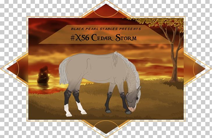 Mustang Mane Stallion Mammal Pack Animal PNG, Clipart, Cedar Bonsai Painting, Creature, Hair, Horse, Horse Like Mammal Free PNG Download