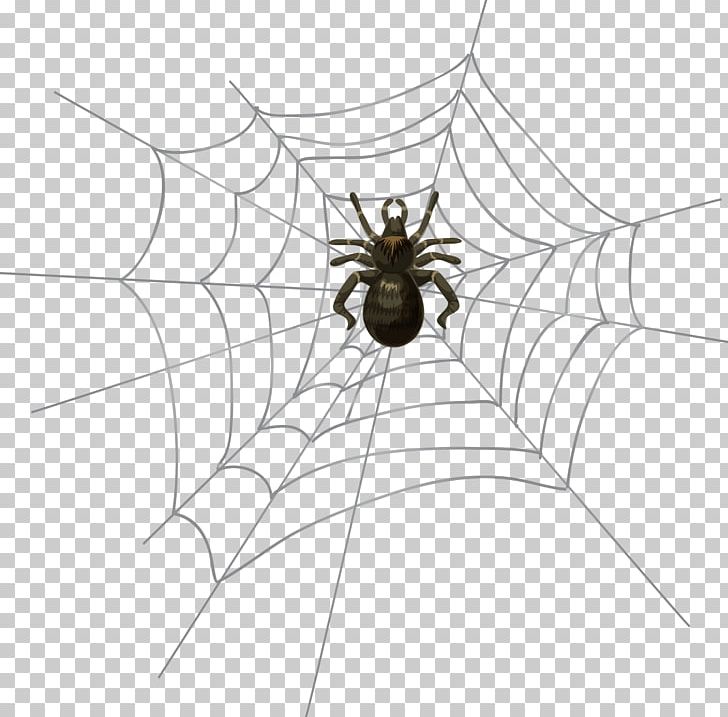 Spider Halloween PNG, Clipart, Arthropod, Black And White, Camera, Circle, Clipart Free PNG Download