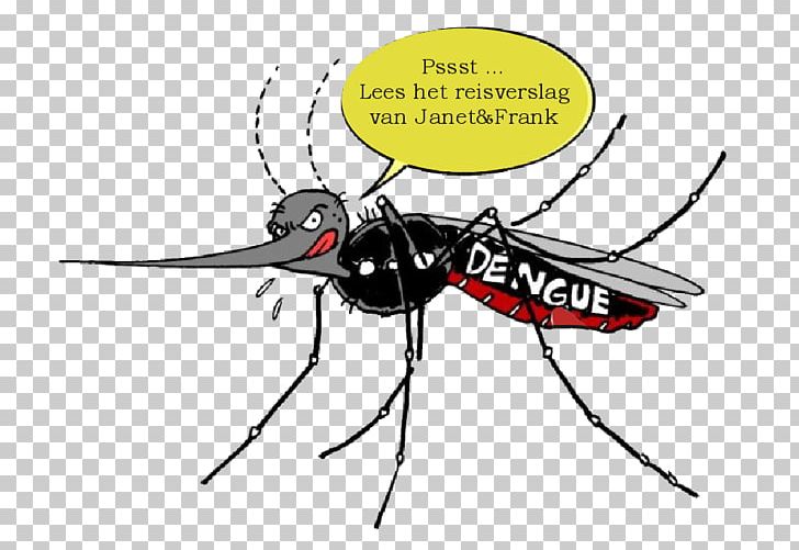 dengue mosquito cartoon