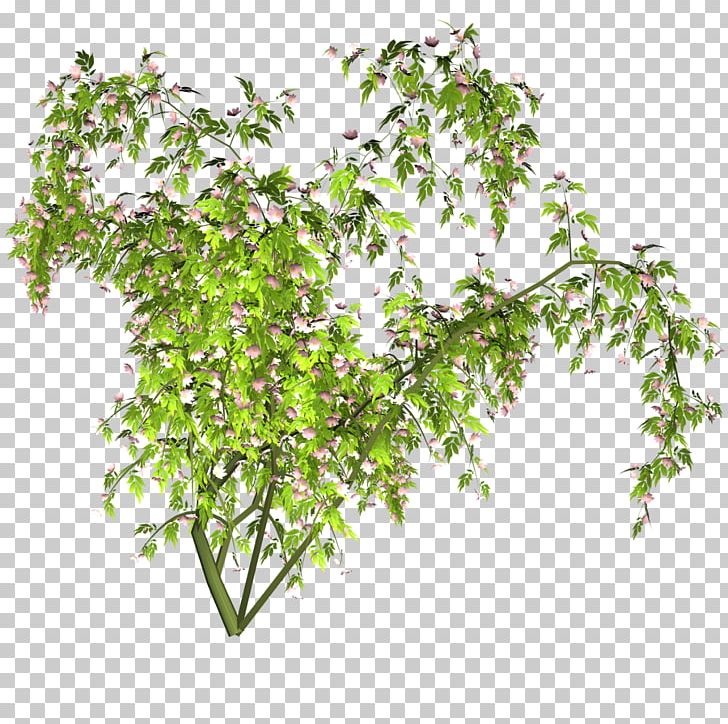 Encapsulated PostScript Tree PNG, Clipart, Branch, Computer Graphics, Computer Icons, Encapsulated Postscript, Flowerpot Free PNG Download