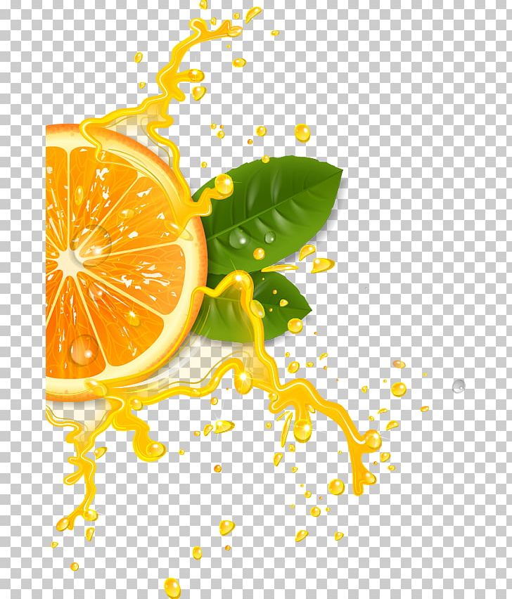 Orange Juice Cocktail Lemonade PNG, Clipart, Citric Acid, Citrus, Creative Fruit, Drink, Food Free PNG Download