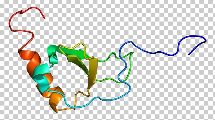 CX3CR1 CX3CL1 Chemokine Receptor Protein PNG, Clipart, 1 B, Area, Artwork, B 2, Binding Site Free PNG Download