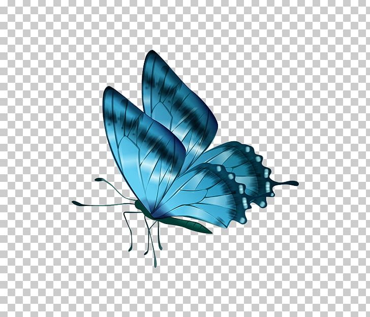 Monarch Butterfly Brush-footed Butterflies PNG, Clipart, Android Tv, Arthropod, Banner Psd, Brush Footed Butterfly, Butterfly Free PNG Download