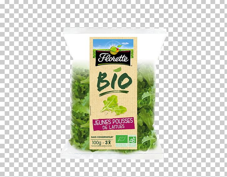 Organic Food Leaf Vegetable Butterhead Lettuce Organic Farming Shoot PNG, Clipart, Agriculture, Arugula, Butterhead Lettuce, Corn Salad, Herb Free PNG Download