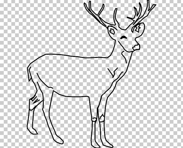 White-tailed Deer Moose PNG, Clipart, Animal Figure, Animals, Antler, Black And White, Deer Free PNG Download