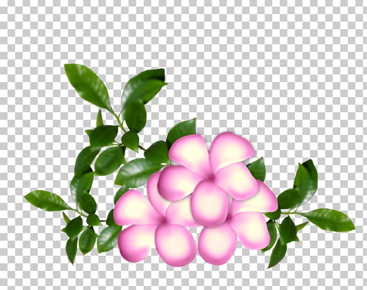 Flower Painting Petal PNG, Clipart, Bayan Mod, Blume, Bookmark, Branch, Cicek Free PNG Download