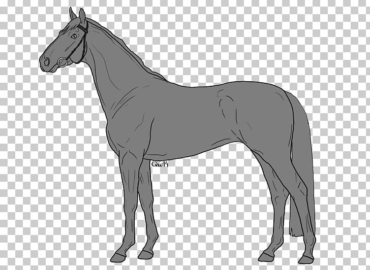 Mule Mare Pony Foal Mustang PNG, Clipart, Art, Black And White, Blue Lake, Bridle, Colt Free PNG Download