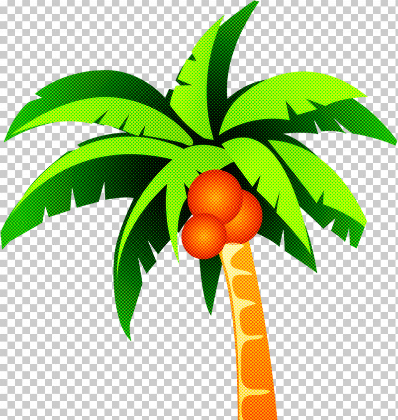 Palm Tree PNG, Clipart, Citrus, Flower, Fruit, Fruit Tree, Leaf Free PNG Download
