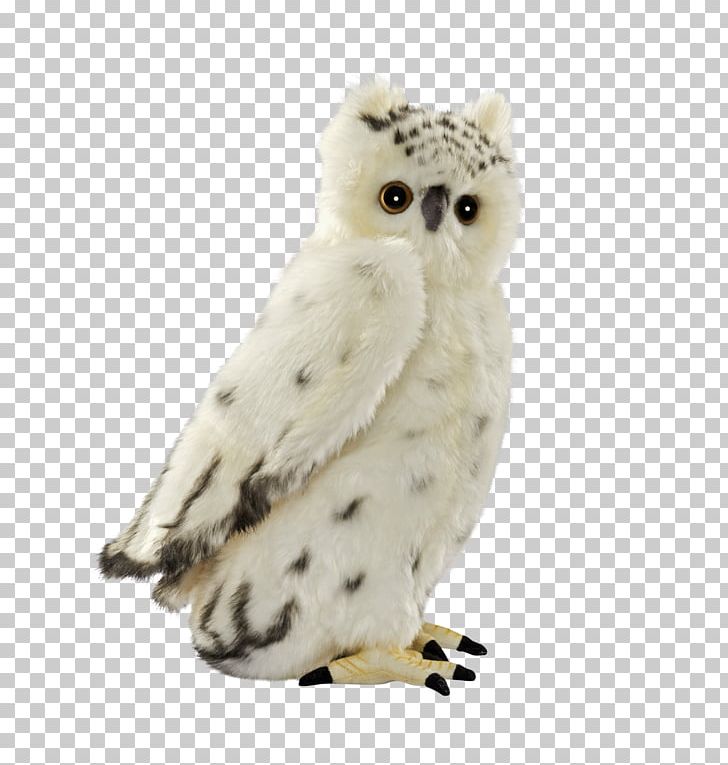 Snowy Owl Bird Stuffed Animals & Cuddly Toys PNG, Clipart, Animal, Animals, Barn Owl, Beak, Bird Free PNG Download