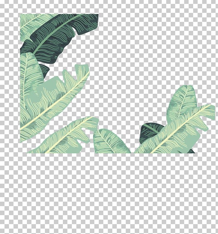 Banana Leaf Euclidean PNG, Clipart, Angle, Ban, Banana Leaves, Border, Border Frame Free PNG Download