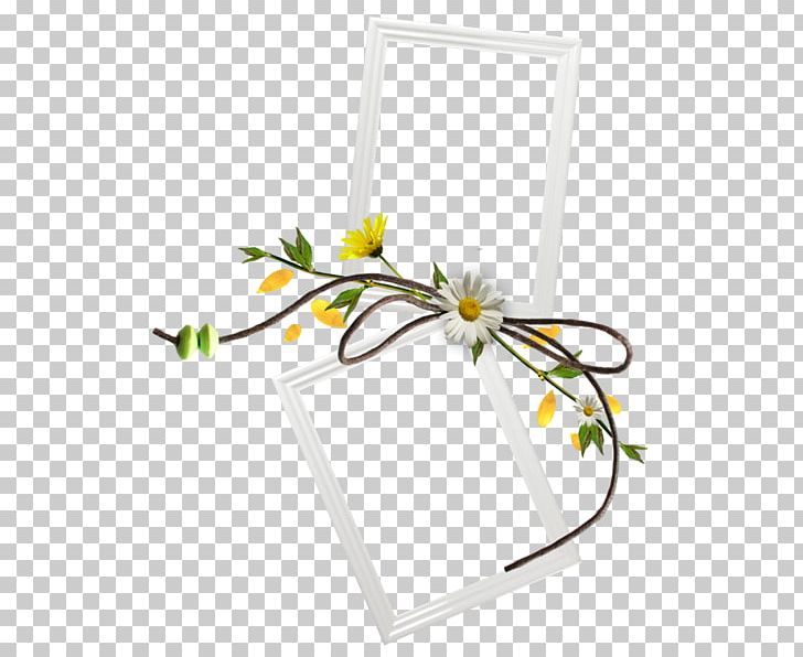 Flower German Chamomile Tripleurospermum Common Daisy PNG, Clipart, Anthemis, Blossom, Box, Branch, Chamomile Free PNG Download