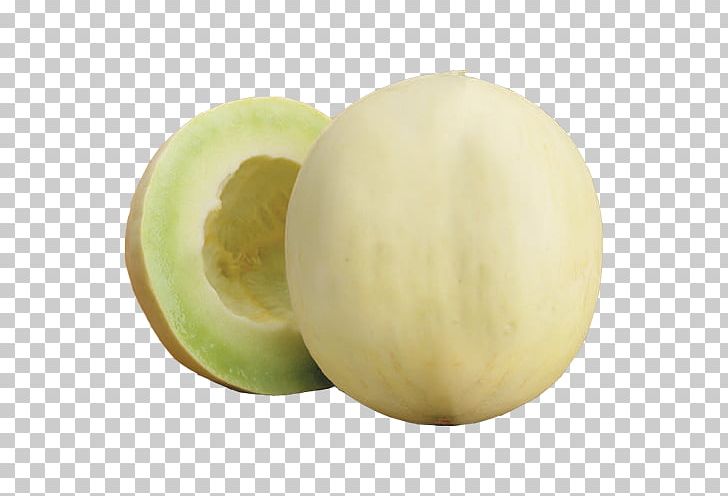 Honeydew Cantaloupe Galia Melon Canary Melon PNG, Clipart, Bubble Tea, Canary Melon, Cantaloupe, Cucumber Gourd And Melon Family, Cucumis Free PNG Download