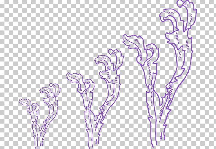 Seaweed Algae PNG, Clipart, Algae, Aquatic Plants, Arm, Art, Artwork Free PNG Download