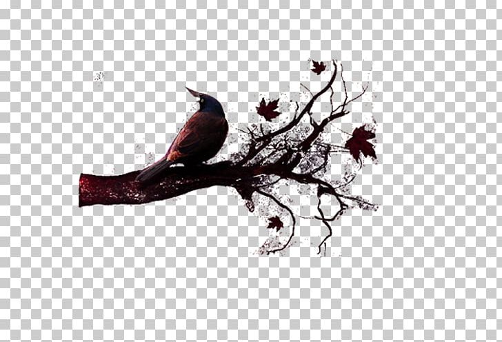 Tree PNG, Clipart, Animals, Beak, Bird, Black Crow, Blog Free PNG Download