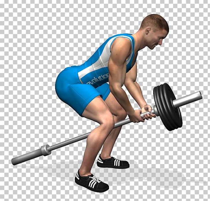 Weight Training Barbell Dumbbell Latissimus Dorsi Muscle Human Back PNG, Clipart, Abdomen, Arm, Balance, Barbell, Bodybuilder Free PNG Download
