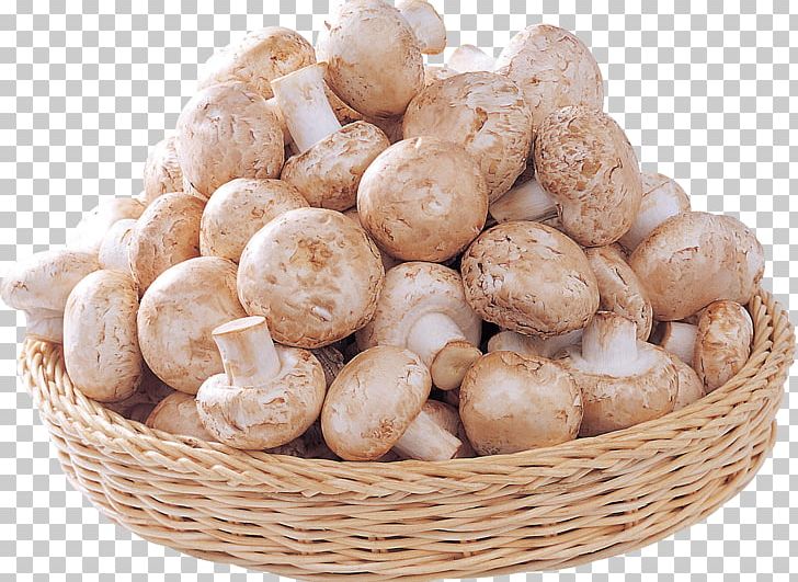 Agaricus Edible Mushroom Fungus PNG, Clipart, Agaricus, Bank, Cooking, Edible Mushroom, Food Free PNG Download