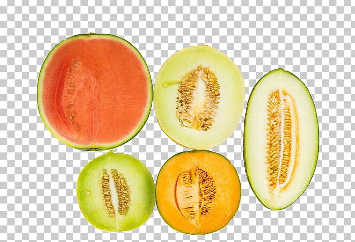 Charentais Melon Cantaloupe Hami Melon Honeydew Canary Melon PNG, Clipart, Cucumber Gourd And Melon Family, Food, Fresh Juice, Fresh Salmon, Fruit Free PNG Download