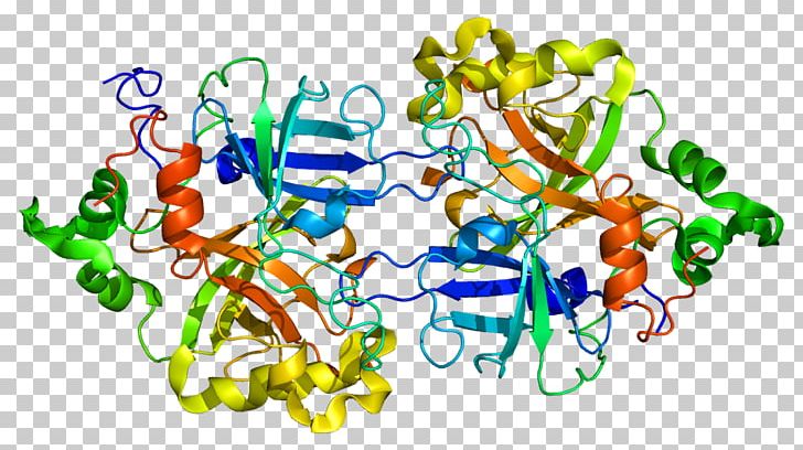 Complement Factor B Complement System Factor D Complement Component 4 ...