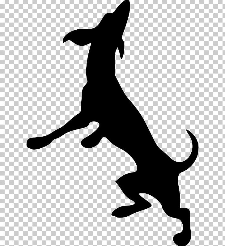Dobermann Greyhound Scotch Collie PNG, Clipart, Artwork, Black, Black And White, Carnivoran, Cat Free PNG Download