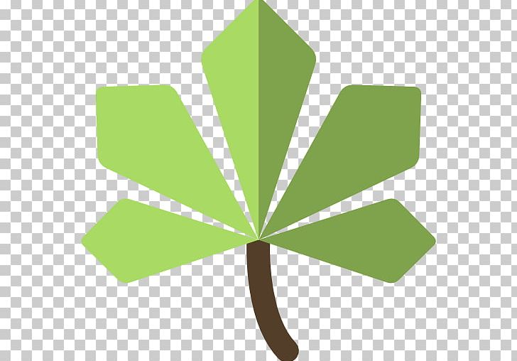 Maple Leaf PNG, Clipart, Animaatio, Art, Computer Icons, Flowering Plant, Grass Free PNG Download