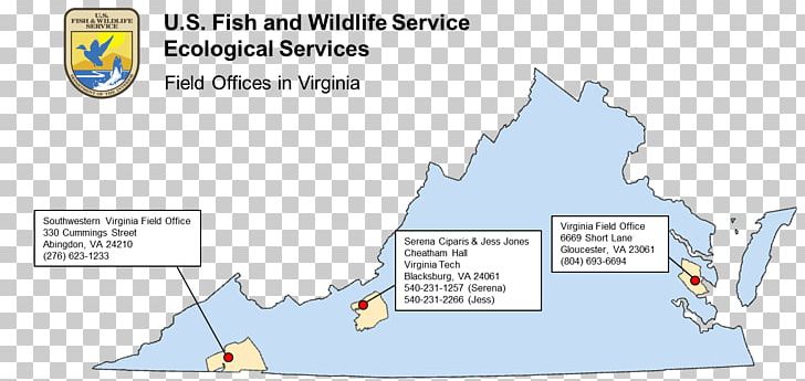 Northeastern United States United States Fish And Wildlife Service Virginia Bald Eagle Region PNG, Clipart, Angle, Area, Bald Eagle, Diagram, Endangered Species Free PNG Download