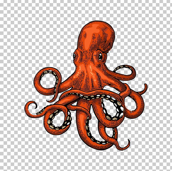 Octopus Squid Drawing PNG, Clipart, Cartoon, Cephalopod, Drawing,  Invertebrate, Marine Invertebrates Free PNG Download