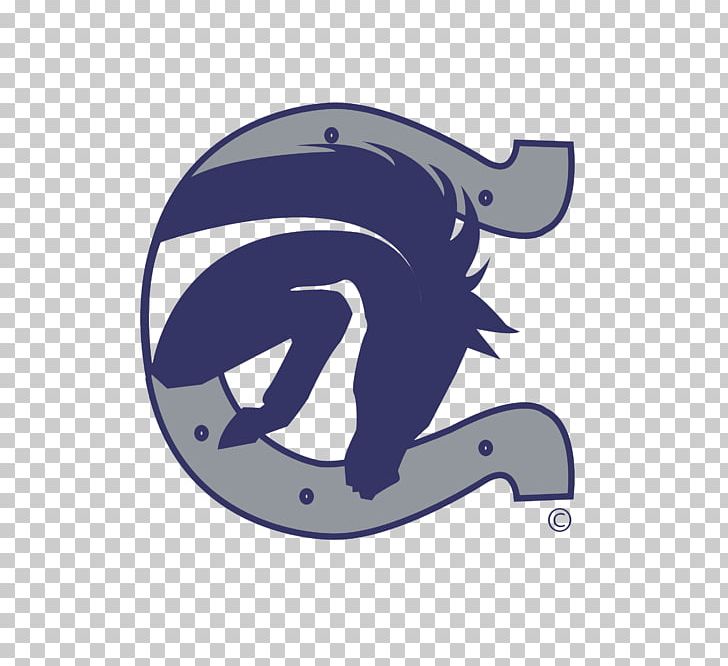 Boerne-Samuel V. Champion High School Boerne High School National Secondary School PNG, Clipart, American Football, Blue, Boerne, Education, Independent School District Free PNG Download