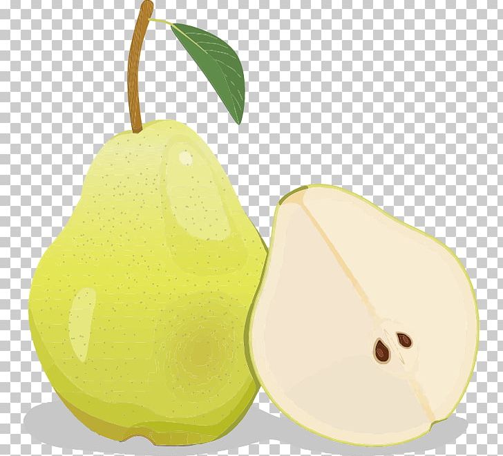 Pear Auglis PNG, Clipart, Apple, Auglis, Bosc Pear, Computer Icons, Food Free PNG Download