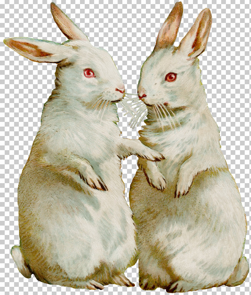 Easter Bunny PNG, Clipart, Animal Figure, Arctic Hare, Easter Bunny, Hare, Paint Free PNG Download